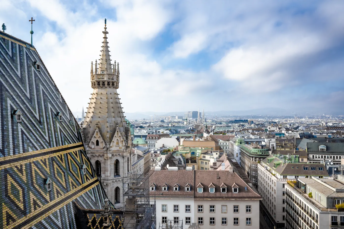 Google Ads Freelancer Wien vs Agentur