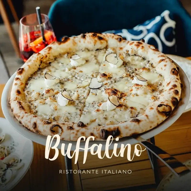 Buffalino — Website + Performance Marketing