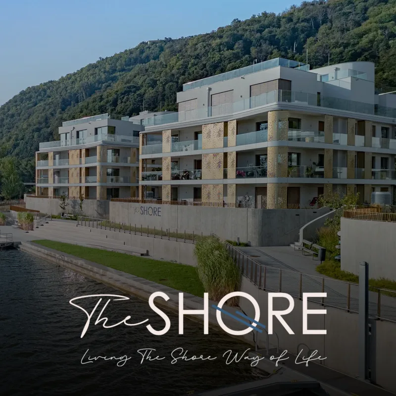 The Shore